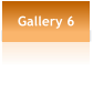 Gallery 6